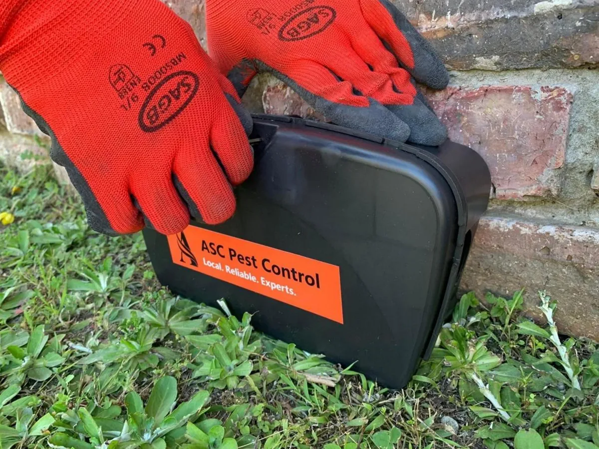ASC Pest Control branded tamper-resistant bait box used for safe residential rodent control
