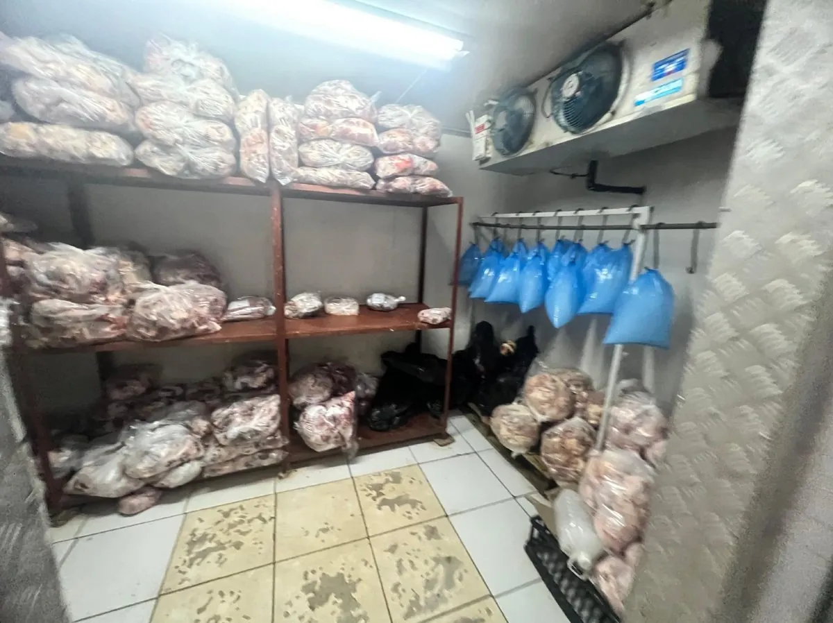 A butchery cold room, a classic environment for Listeria harbourage