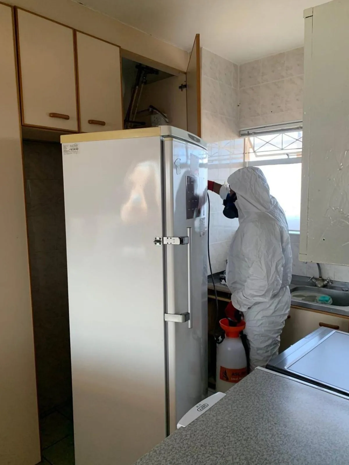 ASC Pest Control operator inspecting a home kitchen for cockroach and ant harbourage around cupboards and appliances